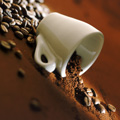 caffe